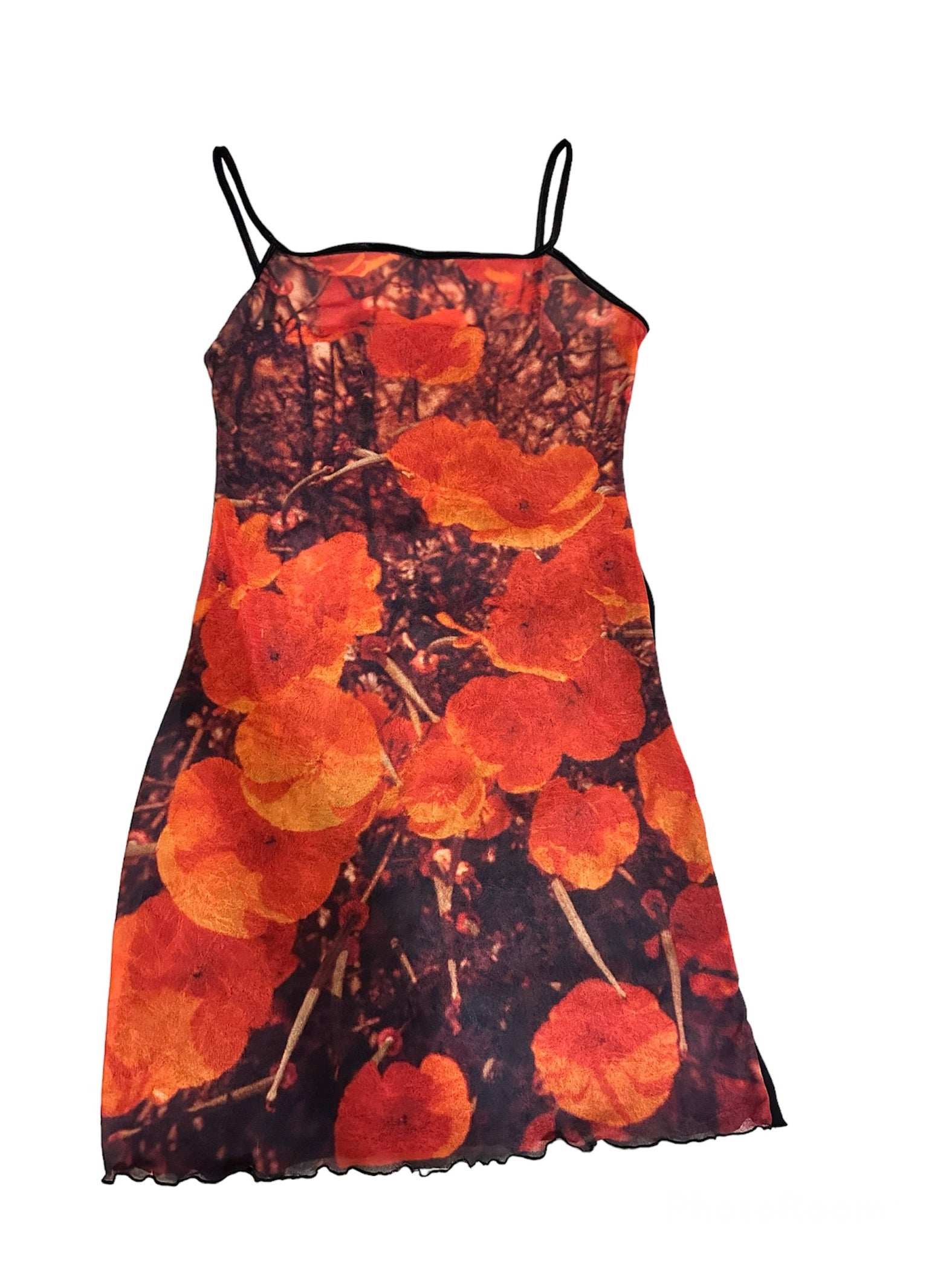 pink poppy sleeveless mesh dress 90s Superbloom Digital Print California Poppy Mesh Mini Dress – Pinkie's  World